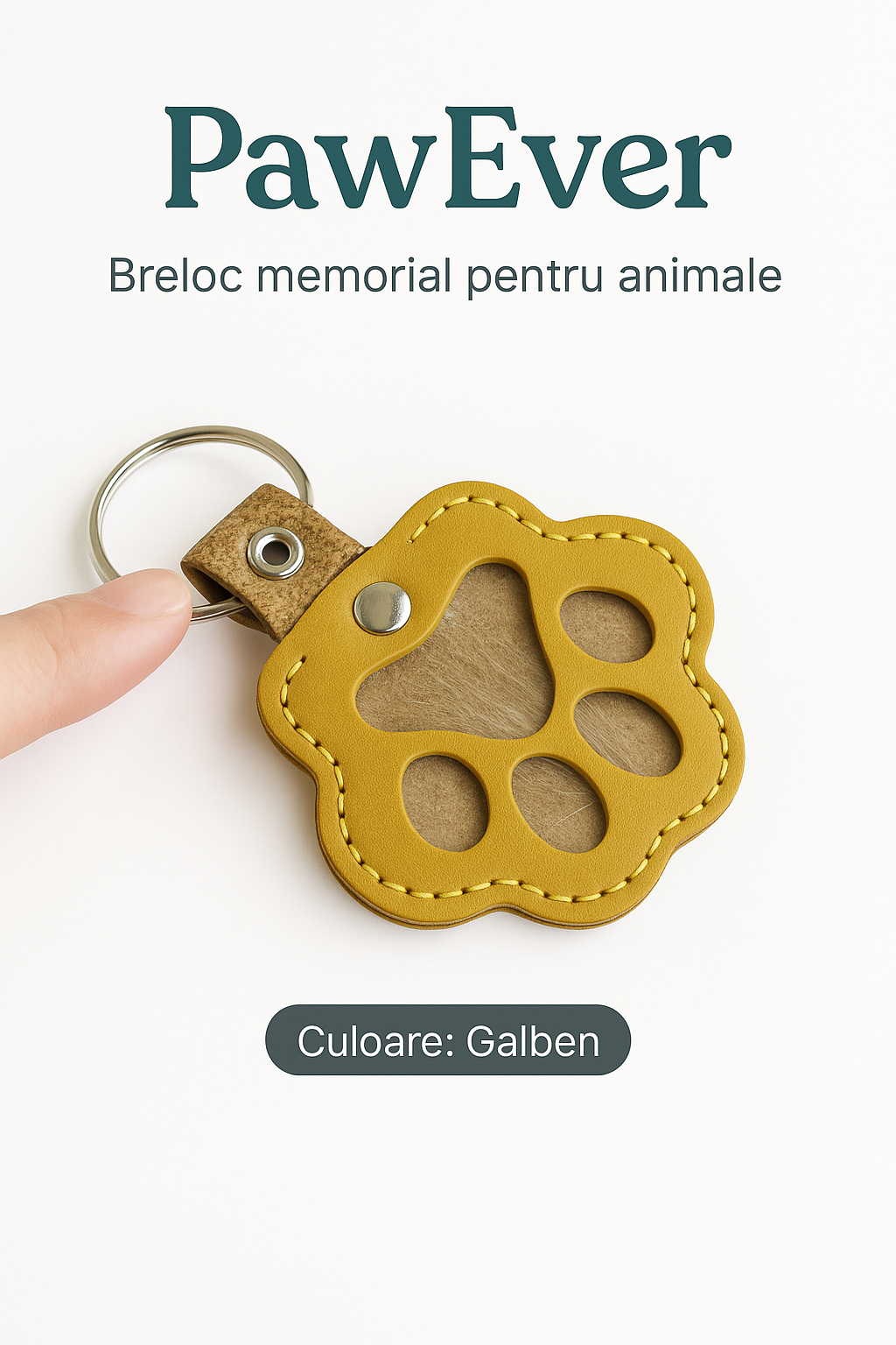 PawEver – Lăbuța ta mereu cu tine